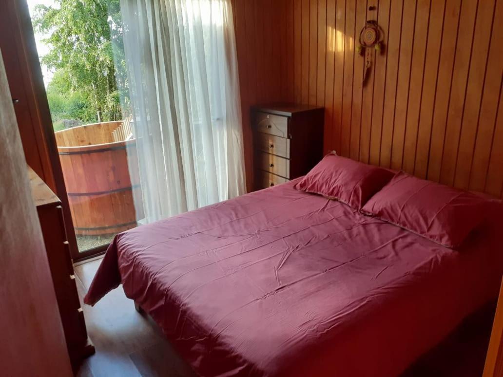 Cabanas Ayalen Con Vista Al Lago プコン 部屋 写真