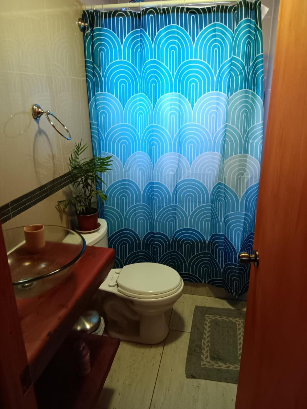 Cabanas Ayalen Con Vista Al Lago プコン エクステリア 写真